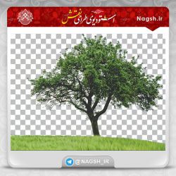 آموزش فتوشاپ؛ یکی از بهترین ترفندها برای دوربری و حذف بکگراند تصاویر پیچیده