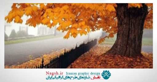 دانلود ویدئو کلیپ طبیعت پاییزی و درختانی با برگ های زرد