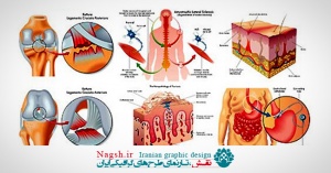 دانلود مجموعه تصاویر وکتور اعضای داخلی بدن انسان